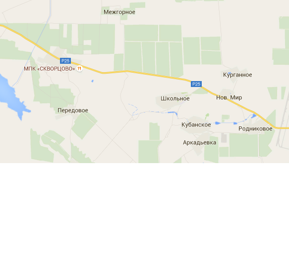 rodnikovoe